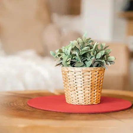 Freiburgerstrasse By Kuckucksnester شقة