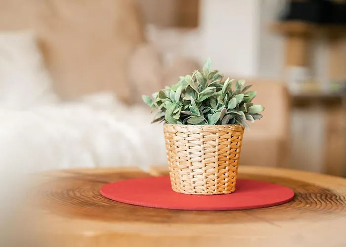 Freiburgerstrasse By Kuckucksnester Lejlighed